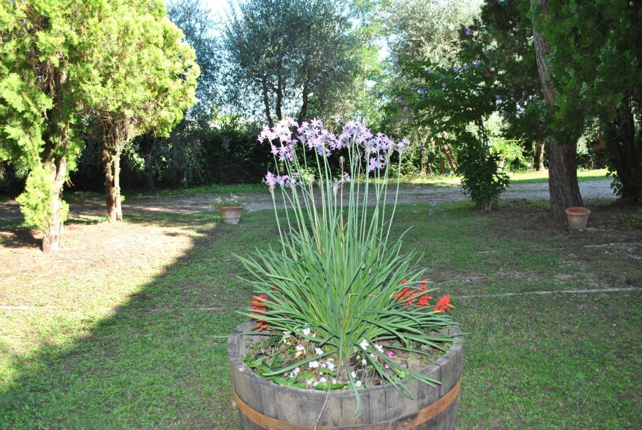 Agriturismo La Nicchia Castelnuovo Berardenga Exterior foto