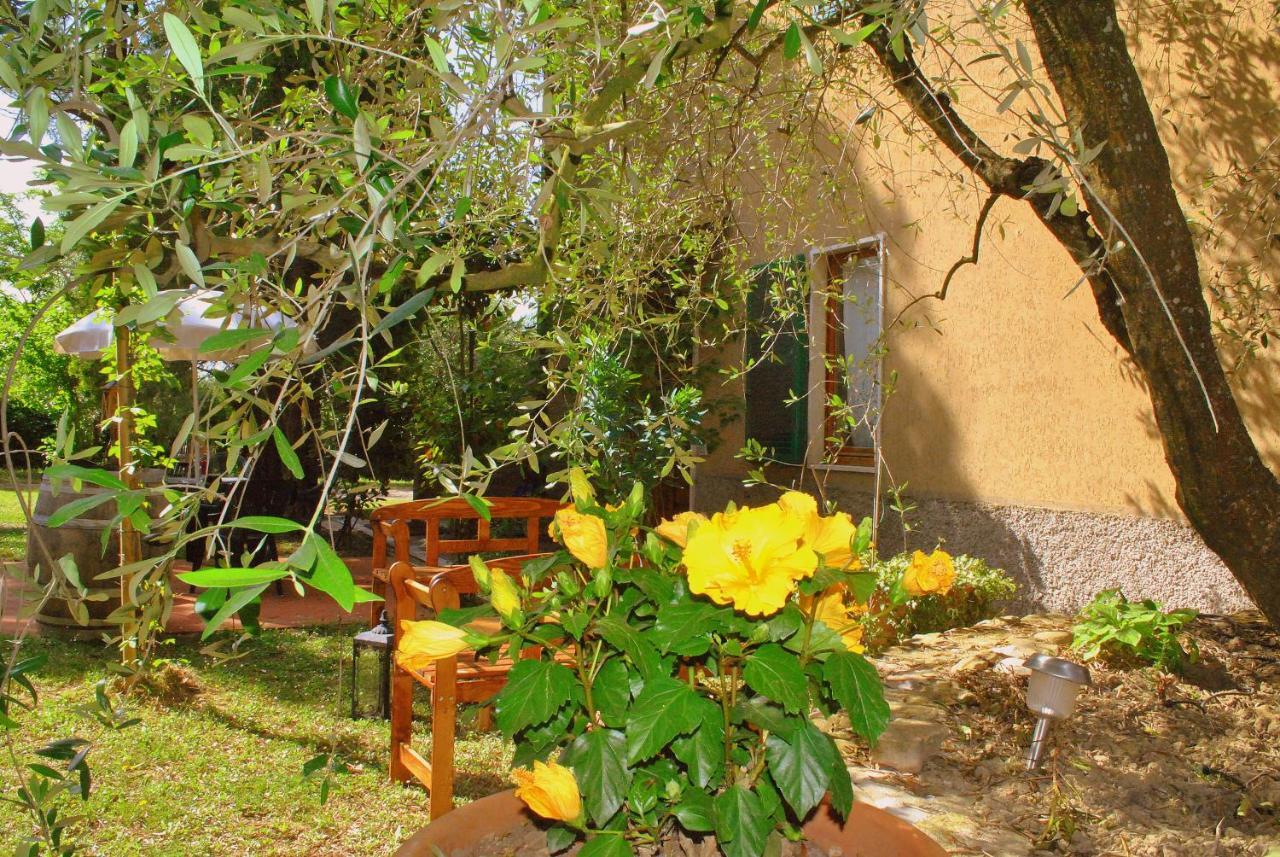 Agriturismo La Nicchia Castelnuovo Berardenga Exterior foto